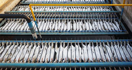 發(fā)展技術 不斷進取 發(fā)展技術 不斷進取